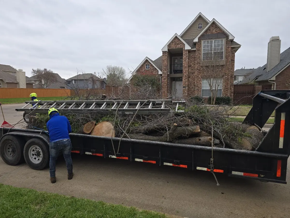 Expert Lot Clearing with proper safety equipment in Musselshell